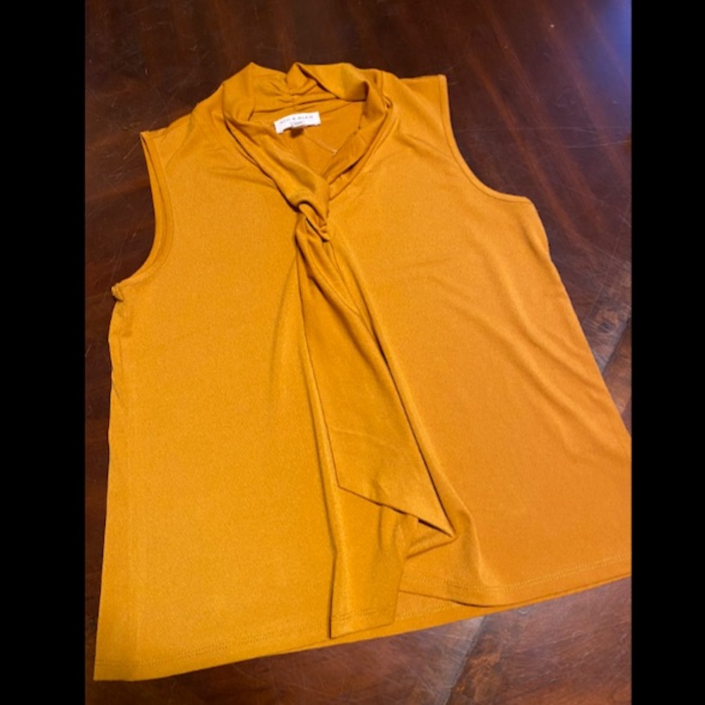Elegant Mustard Sleeveless Blouse